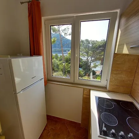 Apartments By The Sea Sobra, Mljet - 7531 Apartment *