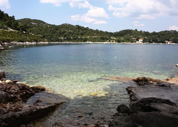 Apartman Apartments By The Sea Sobra, Mljet - 7531 *