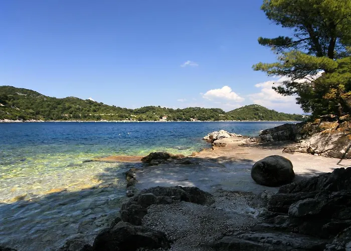 Apartman By The Sea Sobra, Mljet - 7531 *